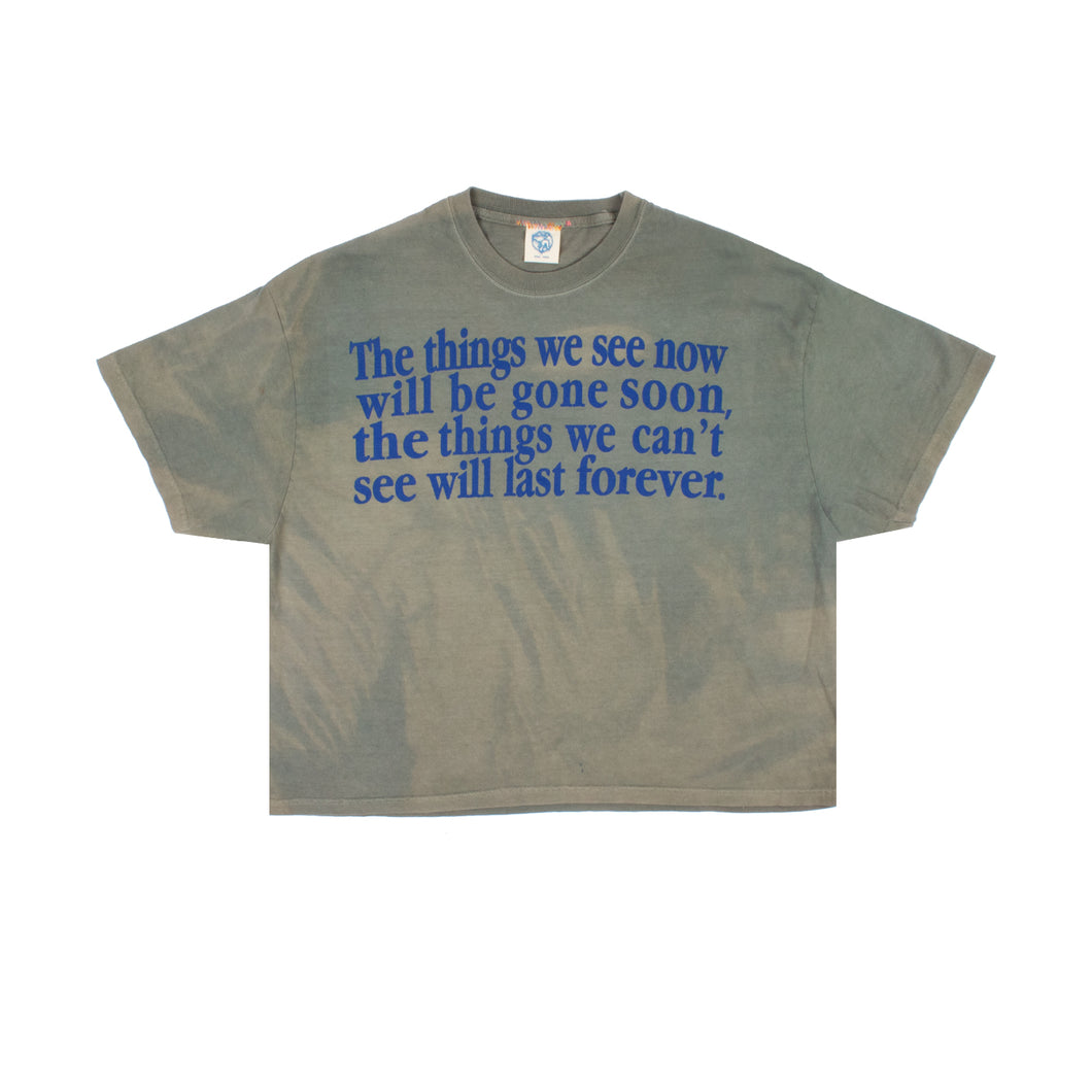 Hand Dyed Forever Cropped Tee in Vintage Grey/Green (2XL)