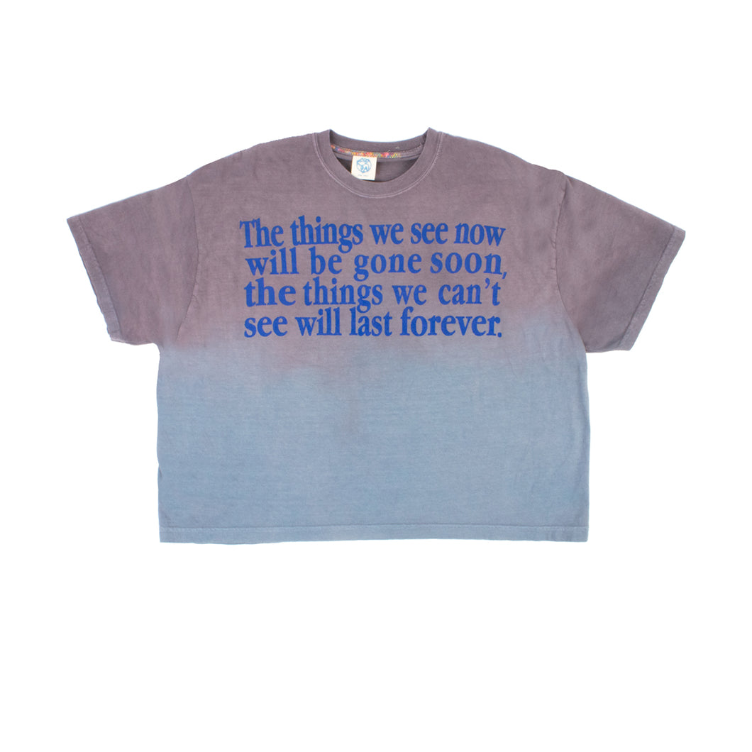 Hand Dyed Forever Cropped Tee in Vintage Lavender/Blue (2XL)